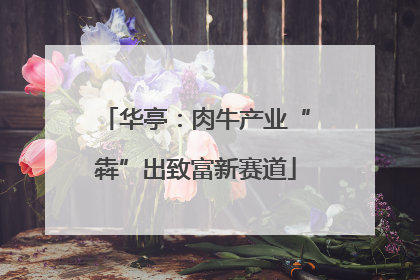 华亭：肉牛产业“犇”出致富新赛道